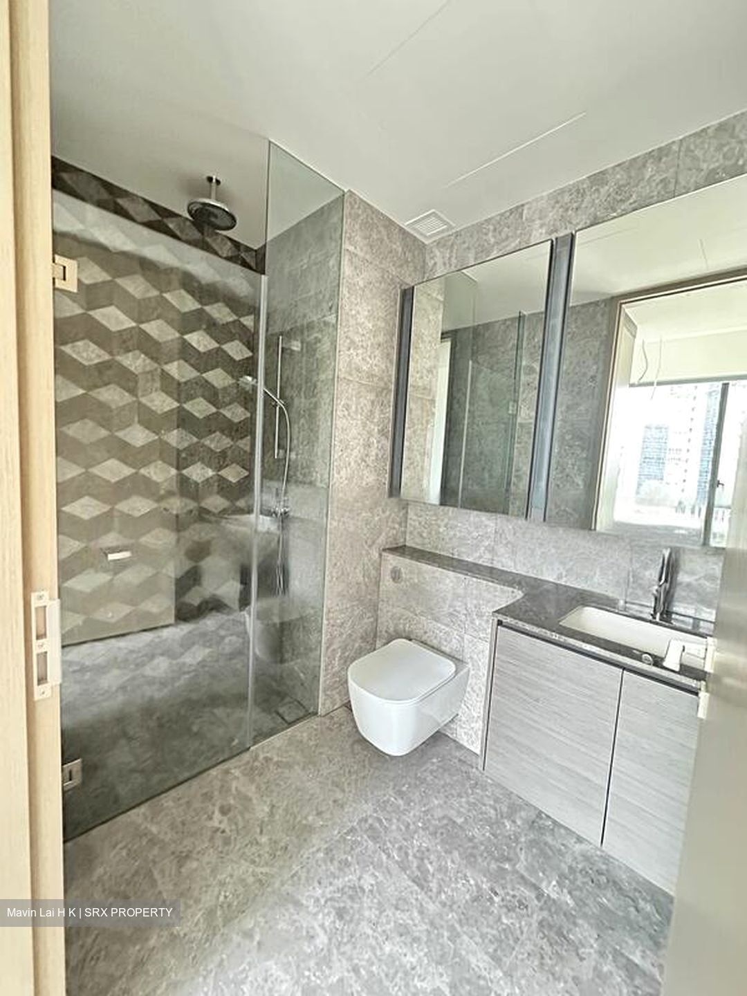 Leedon Green (D10), Condominium #422396151